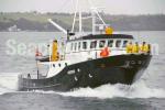 ID 6042 2010 AUCKLAND ANNIVERSARY DAY TUG RACE - HAMAL (1976/95 tons displacement) a 67ft steel trawler-type vessel was launched in Whangarei, NZ. She is powered by twin 8L3B Gardner engines. Designed by T.C....